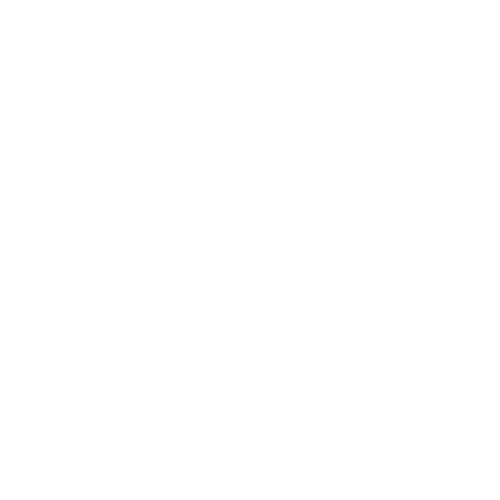 Mentorship Icon